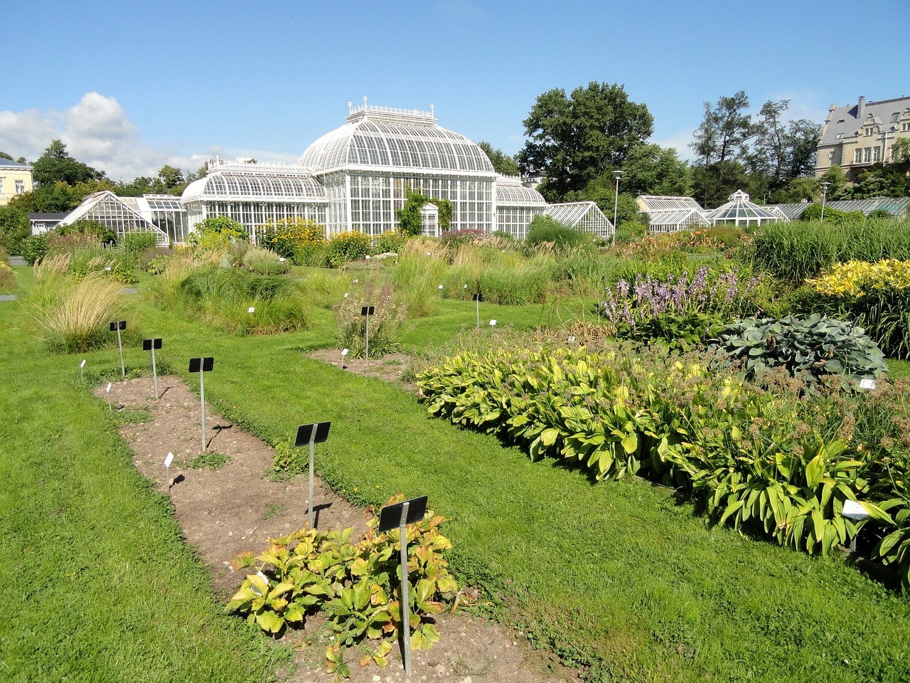 Kaisaniemi botanical garden