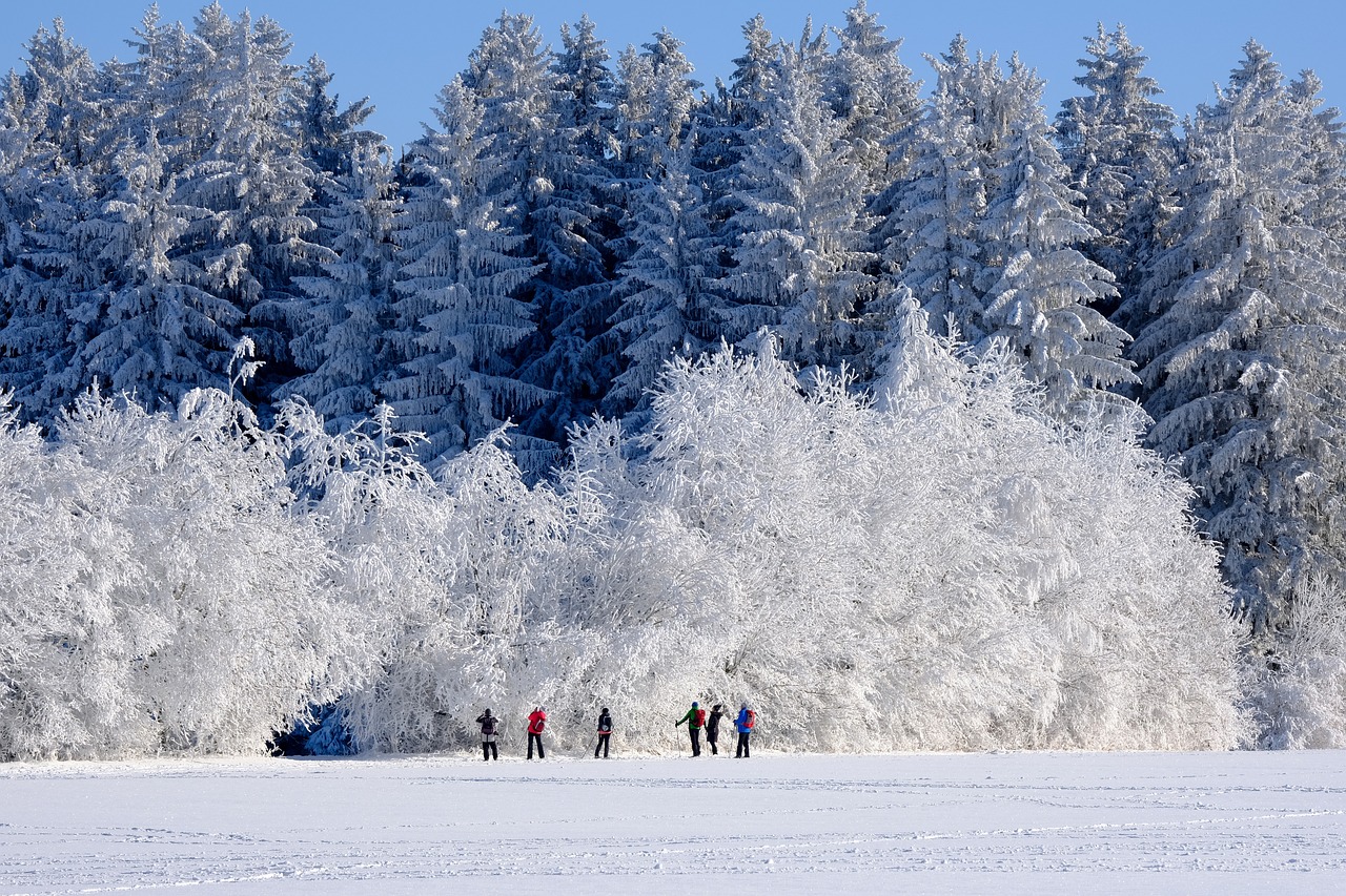 winter outdoors